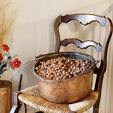 Κατάλυμα σε φάρμα Al Campo Del Nocciolo - Busca